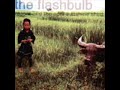 the flashbulb - the big orange love