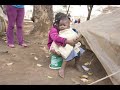 Red Cross Stops Feeding IDPs