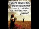 Yo soy quien