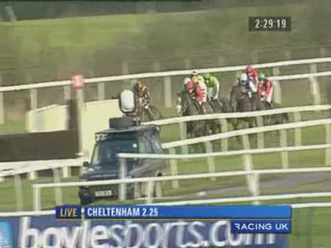 cheltenham gold cup