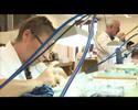 HUBLOT GENEVE - Presentation &Stucture of the Company