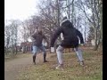 Tamelin vid ankdammen
