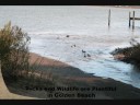 Golden Beach Community/St. Mary's County/Southern Maryland