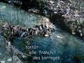 lacher_prise