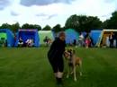 Willow utstallning 070818