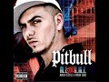 305 Anthem de Pitbull