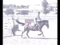 Schatzi level 6 speed class at Midstates Summer