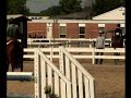 Schatzi level 6 speed class at Midstates Summer