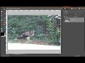 Digital Scrapbooking First Layout Tutorial Part 1 Digital Scrapbooking First Layout Tutorial Part 1