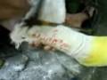 videos de MOV00779