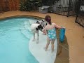 Diving Dane
