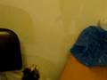 videos de Mimi's 