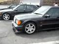 190E Evolution II meeting in Suwako