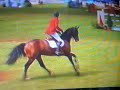 Ludger Beerbaum und All Inclusive Ludger Beerbaum und All Inclusive