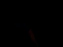 scary movie part five!!!