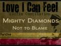 Love I Can Feel Riddim Compilation