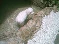 Marcelo break dance