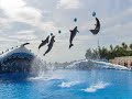 Tenerife Holiday Guide -- MyTravel
