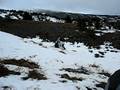 videos de Snowball Fight- Mt. Timberline