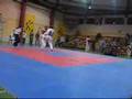 tae kwon do raed welter