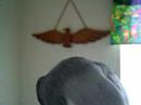 KISSY BIRD!