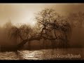 leann rimes - please remember