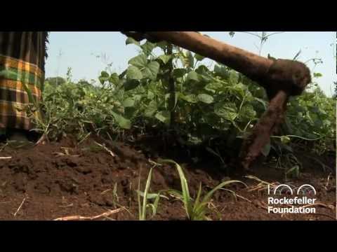 Building Resilience: Christiana Figueres