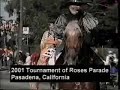 The Dancing Horse Show