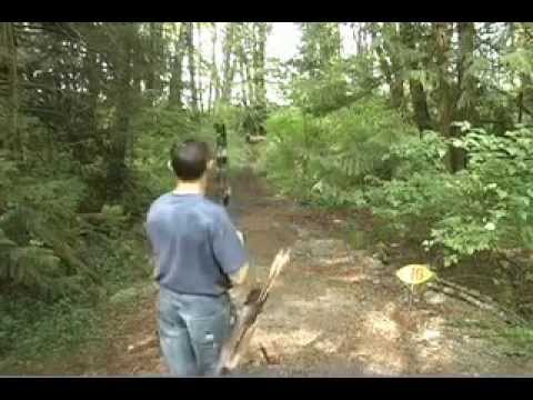 3D Archery shoot