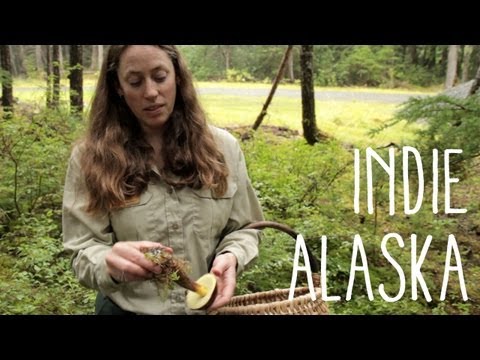 Mushroom - Each fall, mushroom enthusiasts flock to rainy Girdwood to pick all the choice edibles they can eat. But some hunters would prefer their favorite mushroom pa...