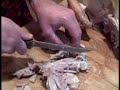How to Carve a Turkey How to Carve a Turkey