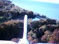 Typhoon Video