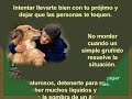 Si un perro fuera tu maestro