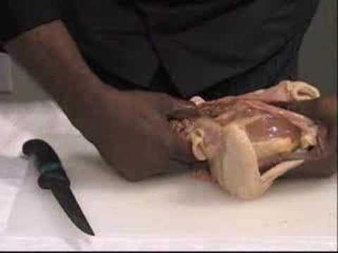 how to break down a chicken