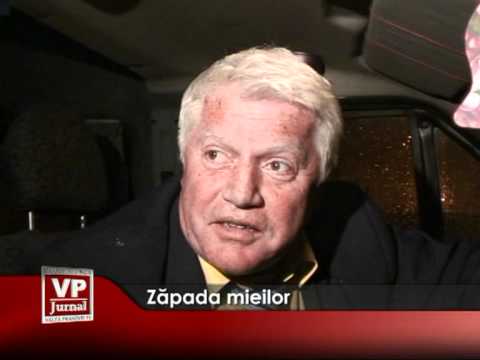 Zăpada mielor