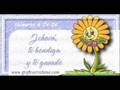 VIDEO PARA TOMAR CONCIENCIA
