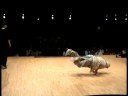 RuffneckAttack vs USA/Scandinavia