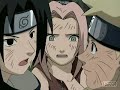 Sakura's Buterfly