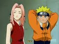 Sakura's Buterfly