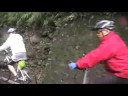 200806 南橫毛地黃 19 人 18 台車 (123test)
