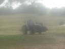 Zeno's tractor ride at cabin in Refugio TX