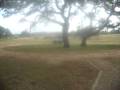 videos de Zeno's tractor ride at cabin in Refugio TX