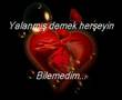 youmavi sdt