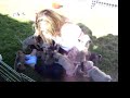 Pug Puppies attack 2