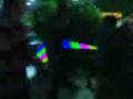 videos de Cazzate-Star Wars