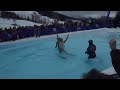 Click here to watch this video Alyeska Slush Cup 2012 crash 1