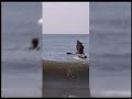 paul-surfing-with-surf-pals.html