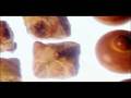 Forno Mais System - Tecnologia de Microondas