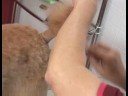 Poodle Dog Grooming : Poodle Dog Grooming: Trimming the Tail