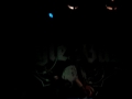 Fucking Bastards N°2 2010